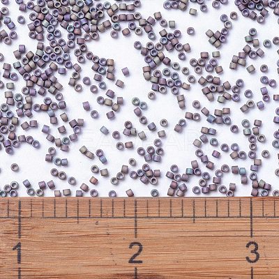 MIYUKI Delica Beads SEED-X0054-DB1067-1