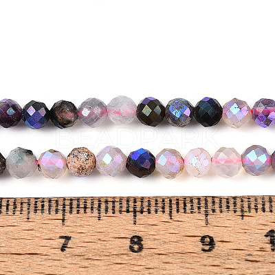 AB Color Plated Natural Garnet & Rose Quartz & Black Spinel & Amethyst & Quartz Crystal & Ice Obsidian Beads Strands G-T144-B07-07-1