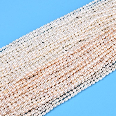 Natural Cultured Freshwater Pearl Beads Strands PEAR-N024-03-2AB-01-1