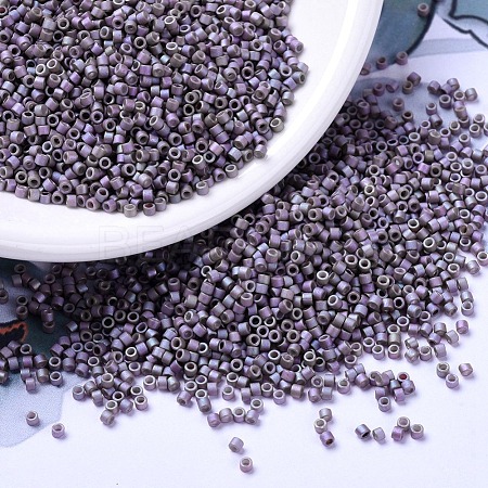 MIYUKI Delica Beads SEED-JP0008-DB1065-1