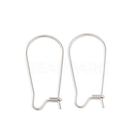 Tarnish Resistant 316 Surgical Stainless Steel Hook Earrings STAS-E009-5-1
