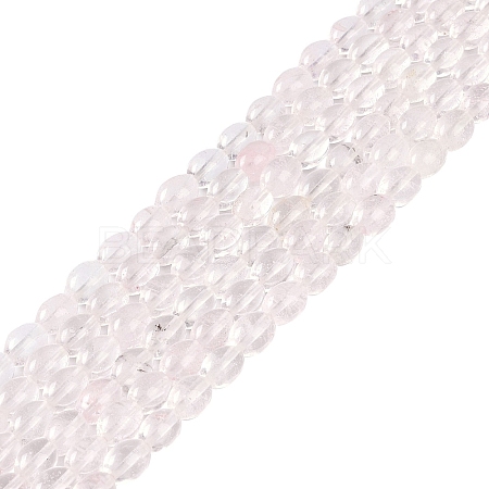 Watermelon Stone Glass Beads Strands G-K362-I03-02-1