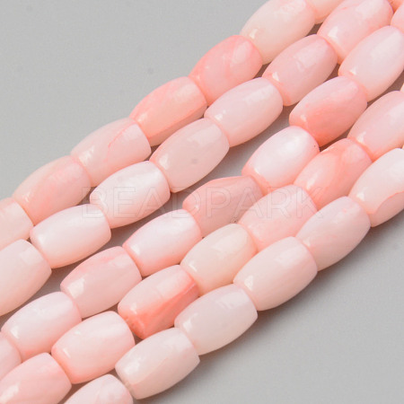 Natural Freshwater Shell Beads Strand X-SHEL-T017-39B-1