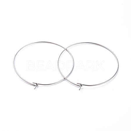 316 Surgical Stainless Steel Hoop Earring Findings X-STAS-J025-01F-P-1