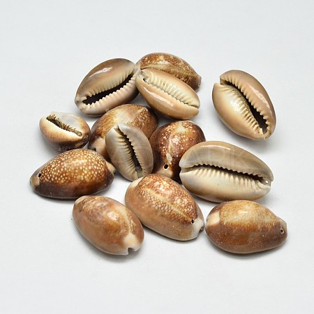 Natural Shell Oval Beads X-BSHE-O007-44-1