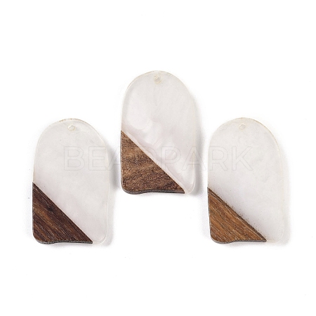 Resin & Wood Pendants WOOD-F015-13C-1