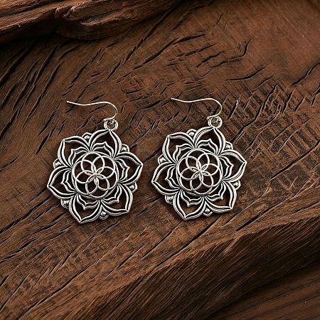 Zinc Alloy Dangle Earrings for Women WG80E40-01-1