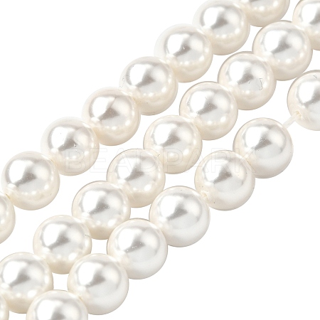 Rainbow Plated Shell Pearl Bead Strands X-BSHE-L025-02-8mm-1