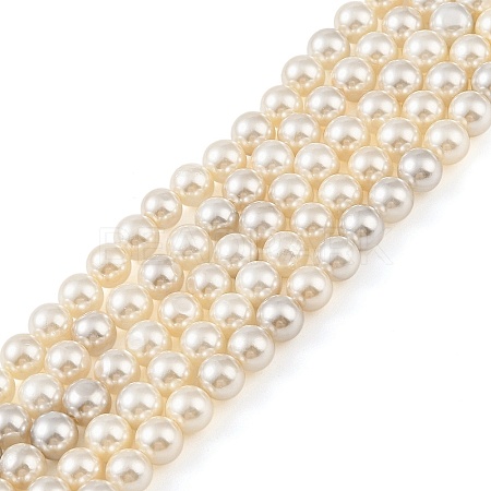 Electroplated Natural Freshwater Shell Beads Strands BSHE-G036-22-1