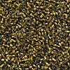 MIYUKI Delica Beads SEED-J020-DB0604-3