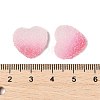 Imitation Candy Food Style Resin Cabochons RESI-R461-01N-4