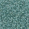 MIYUKI Delica Beads SEED-MY11-DB1767-3