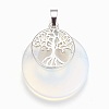 Opalite Pendants G-F573-C05-2