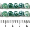 Dyed & Heated Natural Fire Crackle Agate Beads Strands G-P539-B01-21-5