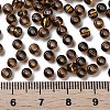 6/0 Glass Seed Beads SEED-US0003-4mm-53-3