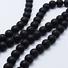 Natural Black Agate Beads Strands G-P369-04-10mm-1