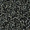 MIYUKI Round Rocailles Beads X-SEED-G009-RR0021-3