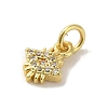 Brass Micro Pave Cubic Zirconia Charms KK-M283-19D-01-2