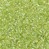 MIYUKI Delica Beads Small SEED-X0054-DBS0174-3