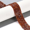 Natural Garnet Beads Strands X-G-P457-B01-18A-2
