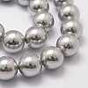 Shell Pearl Beads Strands X-BSHE-L026-05-10mm-3