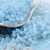 Glass Seed Beads SEED-M011-02A-01-1