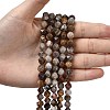 Natural Gobi Agate Beads Strands G-Z119-A36-02-2