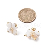 Clover Natural Freshwater Shell Stud Earrings EJEW-JE06387-3