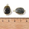 Natural Labradorite Faceted Oval Connector Charms G-H323-02G-09-3
