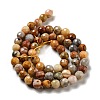 Natural Crazy Lace Agate Beads Strands G-E571-36A-3