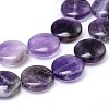 Natural Amethyst Flat Round Bead Strands G-L246-23-3