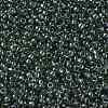 TOHO Round Seed Beads X-SEED-TR08-0119-2