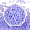 Transparent Colours Glass Seed Beads X1-SEED-P008-01B-05-3