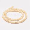 Natural Shell Bead Strands G-K153-B47-6mm-2