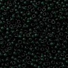 MIYUKI Round Rocailles Beads SEED-JP0009-RR0156F-3