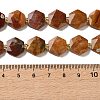Natural Petrified Wood Beads Strands G-H344-B03-01-5