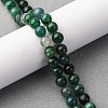Natural Fuchsite Beads Strands G-K393-A02-6mm-1