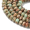 Natural Aqua Terra Jasper Beads Strands G-S366-013C-3