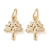 Rack Plating Brass Micro Pave Clear Cubic Zirconia Charms KK-D097-05G-1