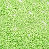 Baking Paint Glass Seed Beads X-SEED-S042-05B-65-3