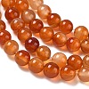 Round Natural Red Agate Bead Strands G-M257-8mm-26-5