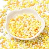 6/0 Opaque Baking Paint Glass Seed Beads X1-SEED-M012-02A-28-2