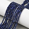 Natural Sodalite Beads Strands G-L622-C04-3mm-1