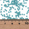11/0 Czech Opaque Glass Seed Beads SEED-N004-003B-30-6