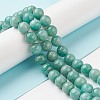 Natural Amazonite Beads Strands G-F461-12-10mm-01-6