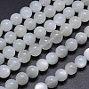 Natural White Moonstone Round Bead Strands G-M262-10mm-04-1