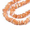 Natural Freshwater Shell Beads Strands SHEL-N003-23-B06-3