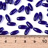 Transparent Colours Glass Seed Beads SEED-T007-16O-4