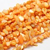 Dyed Natural Freshwater Shell Beads Strands SHEL-J002-05-1