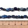 Natural Lapis Lazuli Beads Strands G-I389-A05-5